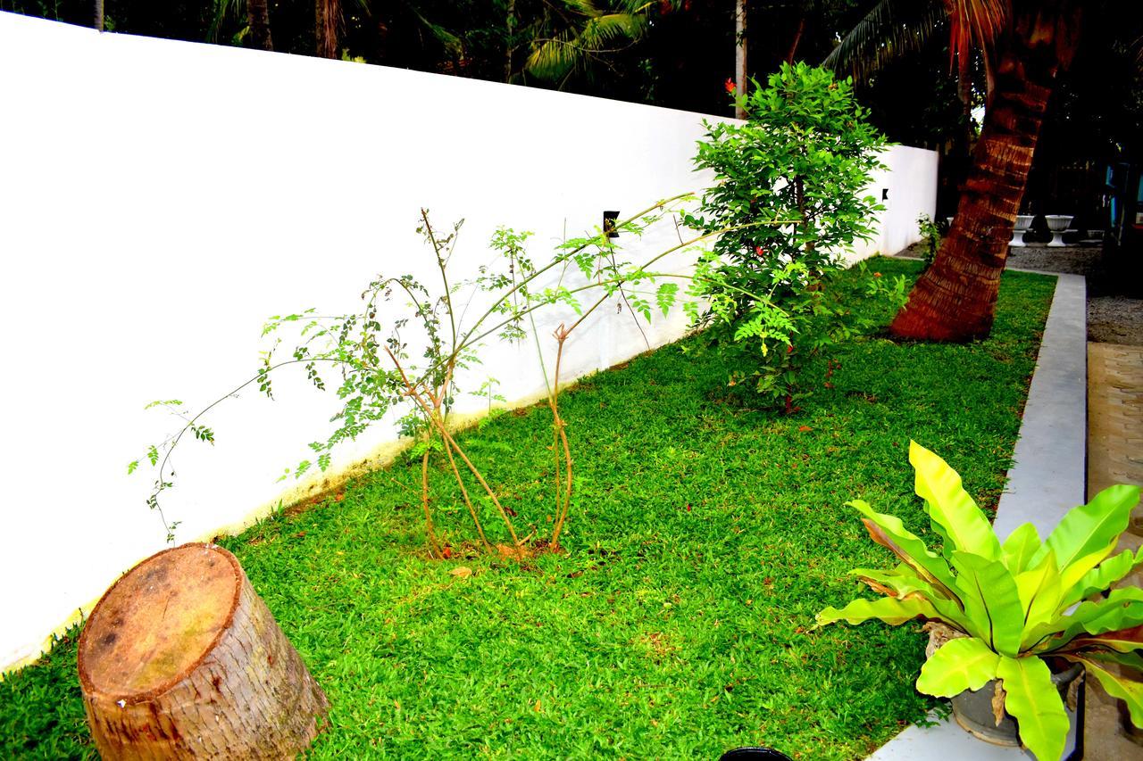 Leonine Villa Yala Tissamaharama Esterno foto